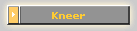 Kneer