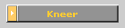 Kneer